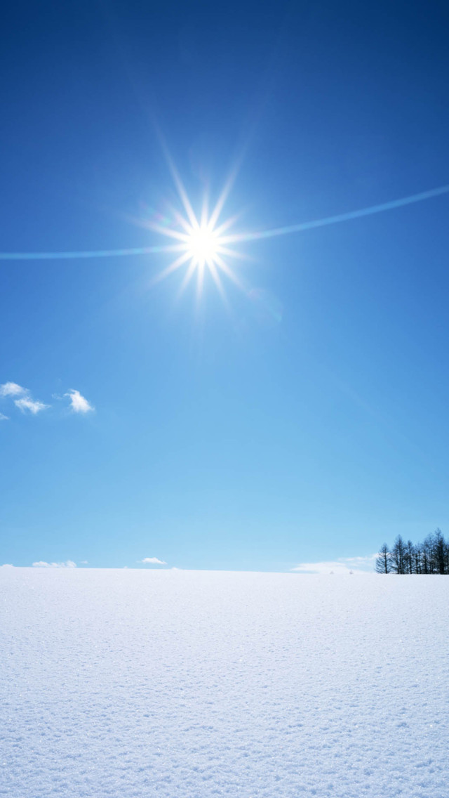 雪地 阳光