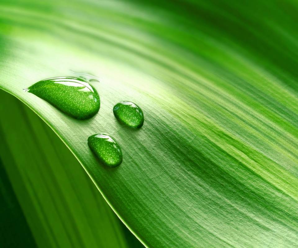 水滴