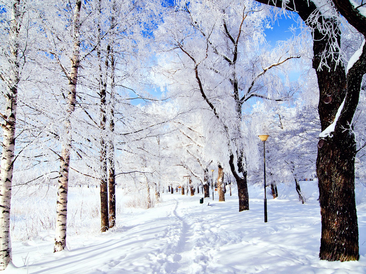 雪天