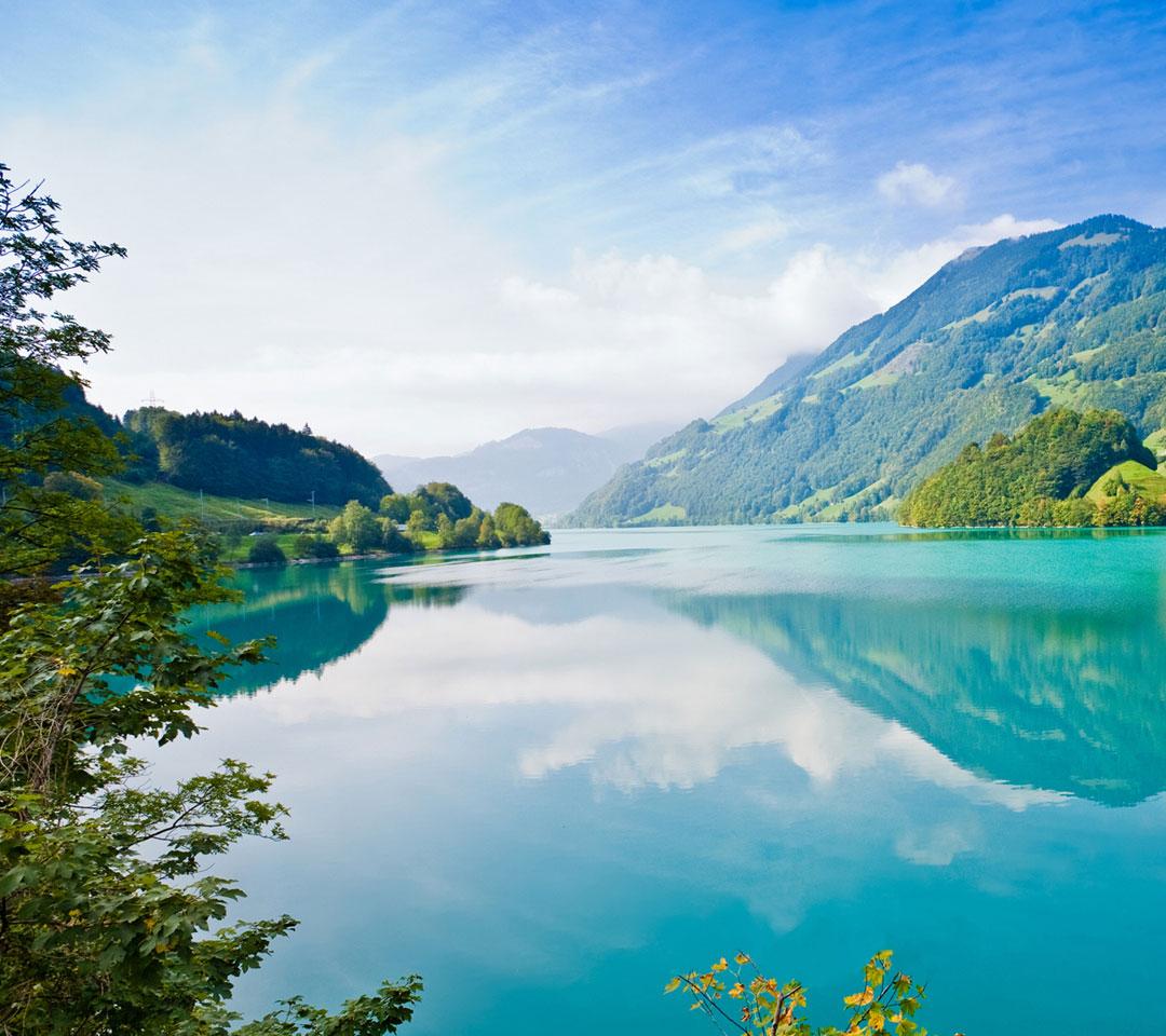 青山绿水