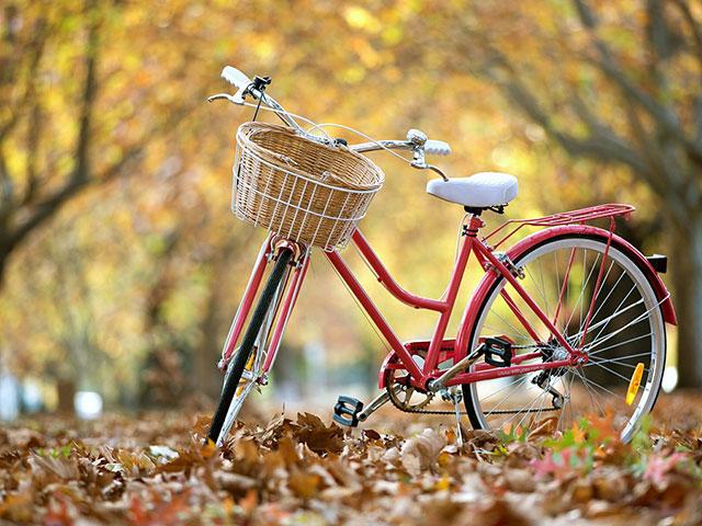 唯美单车秋季旅行