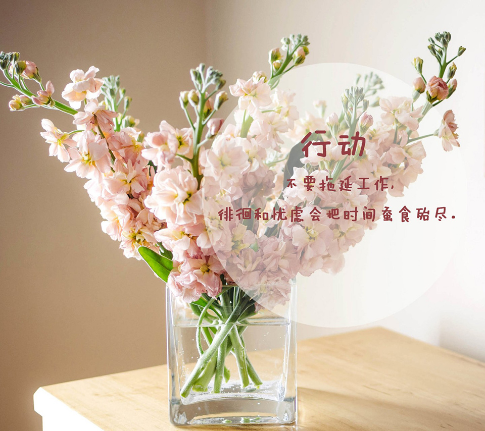 温馨花朵-iphone手机图片排行,手机壁纸,免费手机壁纸
